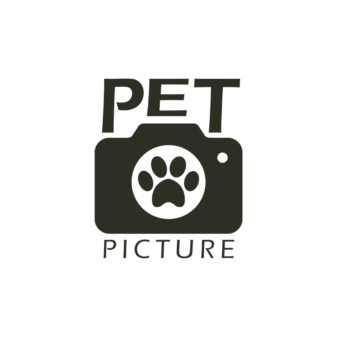 Logotipo de PetPicture, cliente da Palpitaria.